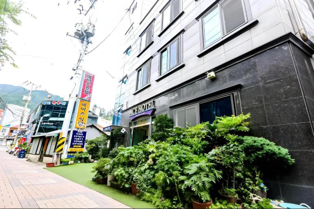 Ace Hotel Ulleungdo Exterior photo