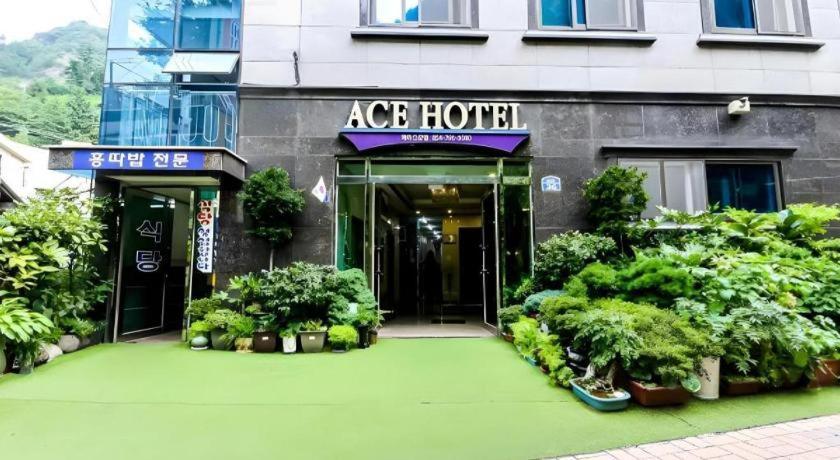 Ace Hotel Ulleungdo Exterior photo