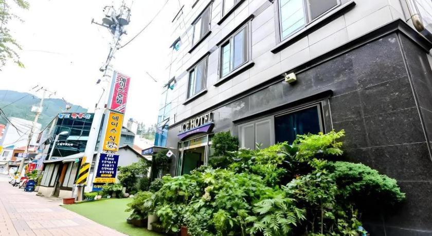 Ace Hotel Ulleungdo Exterior photo